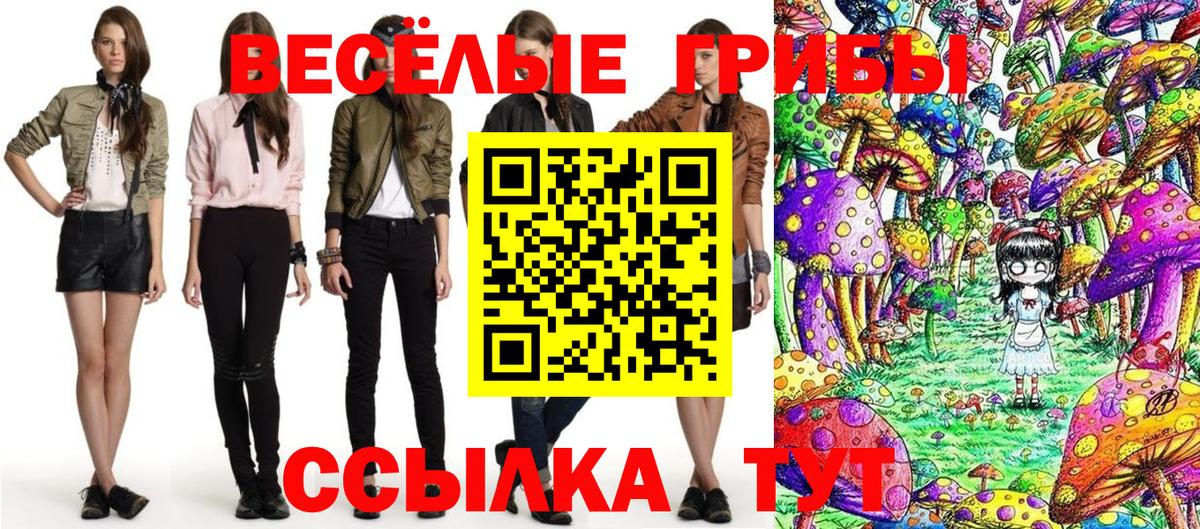 Псилоцибиновые грибы Psilocybe Нягань